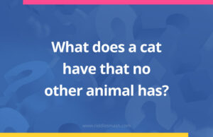 What does a cat have that no other animal has?