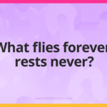 What flies forever, rests never?