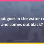 What goes in the water red, and comes out black?