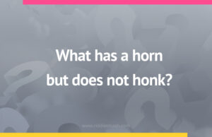 What has a horn but does not honk?