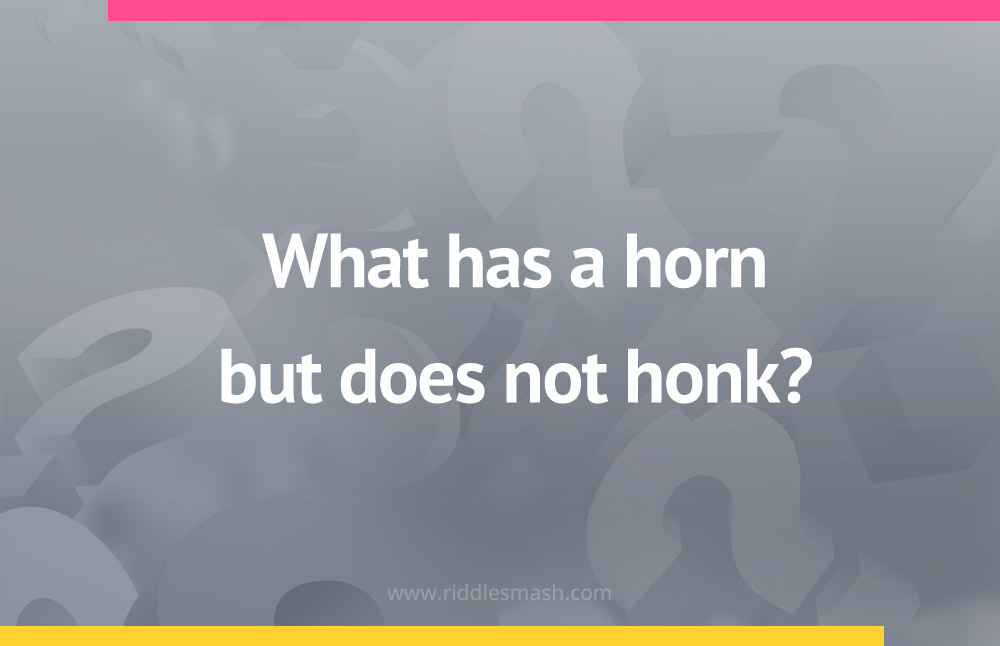 What has a horn but does not honk?