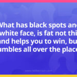 What has black spots and a white face, is fat not thin, and helps you to win, but tumbles all over the place?
