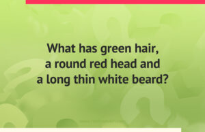 What has green hair, a round red head and a long thin white beard?