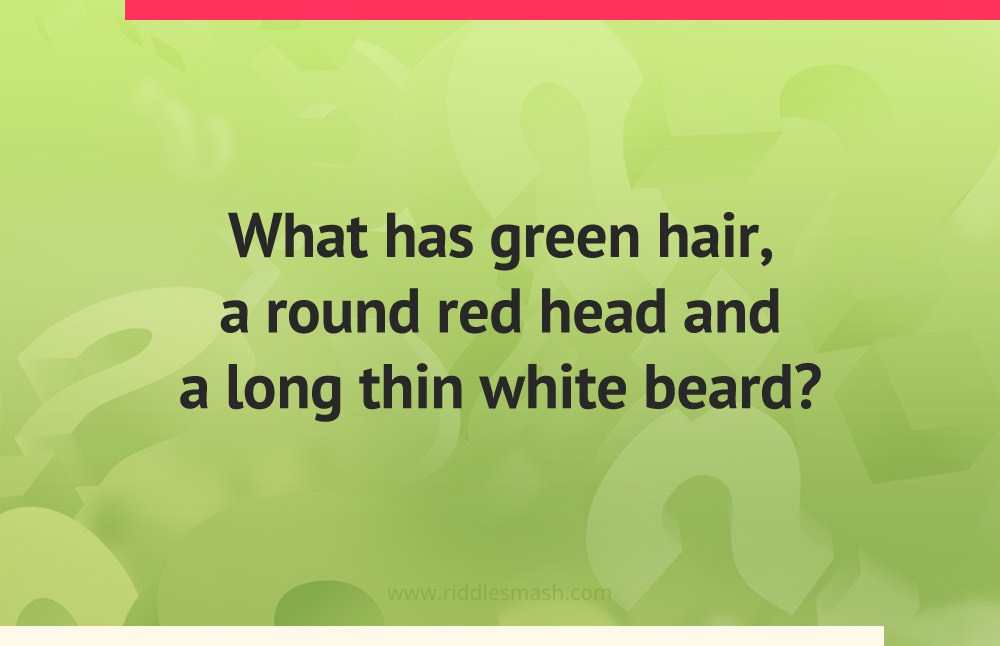 What has green hair, a round red head and a long thin white beard?