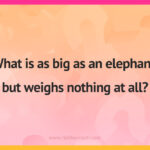 What is as big as an elephant, but weighs nothing at all?