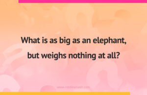 What is as big as an elephant, but weighs nothing at all?