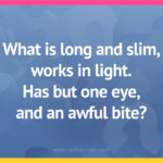 What is long and slim, works in light. Has but one eye, and an awful bite?