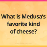 What is Medusa's favorite kind of cheese​?