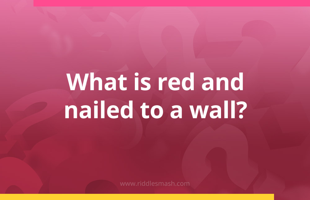 What is red and nailed to a wall?