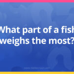 What part of a fish weighs the most?