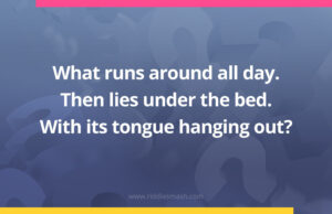 What runs around all day. Then lies under the bed. With its tongue hanging out?