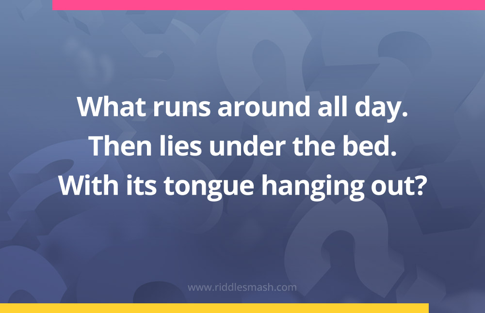 What runs around all day. Then lies under the bed. With its tongue hanging out?