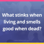 What stinks when living and smells good when dead?
