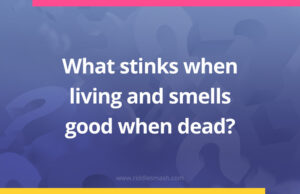 What stinks when living and smells good when dead?