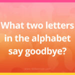 What two letters in the alphabet say goodbye?
