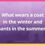 What wears a coat in the winter and pants in the summer?