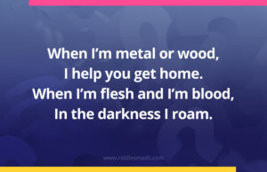 When I’m metal or wood, I help you get home. When I’m flesh and I’m blood, In the darkness I roam.