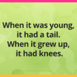 When it was young, it had a tail. When it grew up, it had knees.