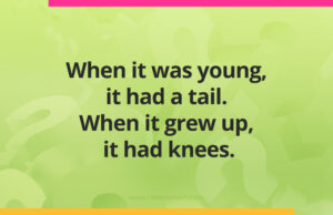 When it was young, it had a tail. When it grew up, it had knees.