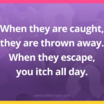 When they are caught, they are thrown away. When they escape, you itch all day.