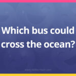Which bus could cross the ocean?