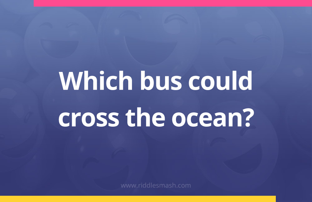 Which bus could cross the ocean?