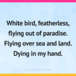 White bird, featherless, flying out of paradise. Flying over sea and land. Dying in my hand.