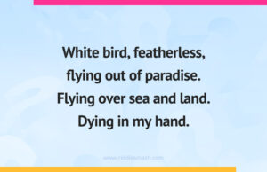 White bird, featherless, flying out of paradise. Flying over sea and land. Dying in my hand.