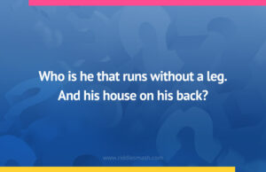 Who is he that runs without a leg. And his house on his back?