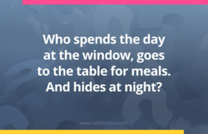 Who spends the day at the window, goes to the table for meals. And hides at night?