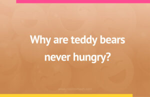 Teddy bears are never hungry because they are always what?