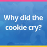 Why did the cookie cry?
