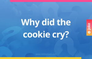 Why did the cookie cry?
