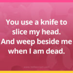 You use a knife to slice my head. And weep beside me when I am dead.