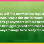 You will find me with four legs, but no hair. People ride me for hours, but I don't go anywhere without needing to be tugged. Jerked or turned on, I always manage to be ready for work.