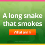 A long snake that smokes. What am I?