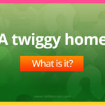 A twiggy home.