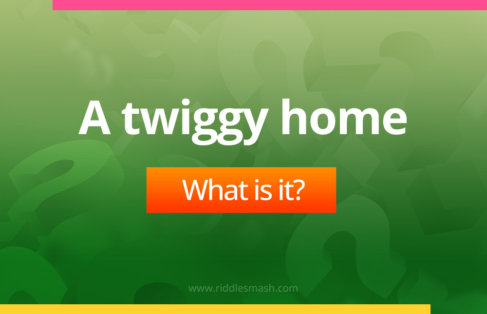 A twiggy home.