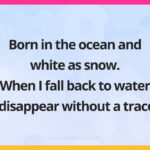 Born in the ocean and white as snow. When I fall back to water I disappear without a trace.