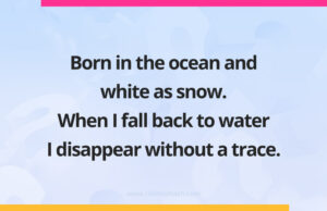 Born in the ocean and white as snow. When I fall back to water I disappear without a trace.