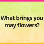 What brings you may flowers?