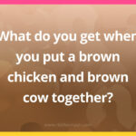 What do you get when you put a brown chicken and brown cow​ together?