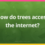 How do trees access the internet?