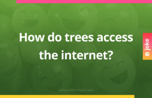 How do trees access the internet?