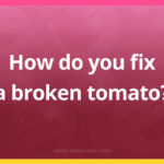 How do you fix a broken tomato?