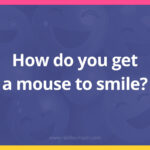 How do you get a mouse to smile?