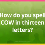 How do you spell COW in thirteen letters?