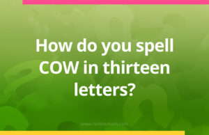 How do you spell COW in thirteen letters?