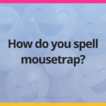 How do you spell mousetrap?