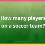 How many players are on a soccer team?